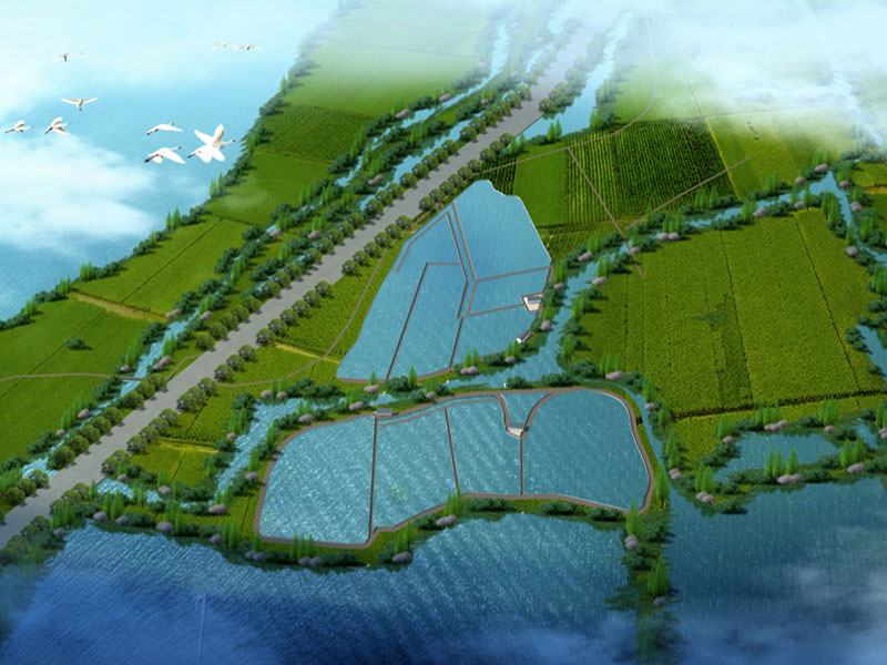 池塘工程化养殖系统